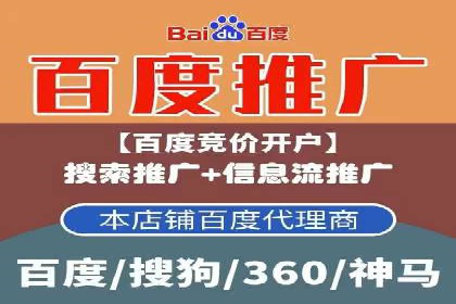 某公司网站sem托管项目纪实